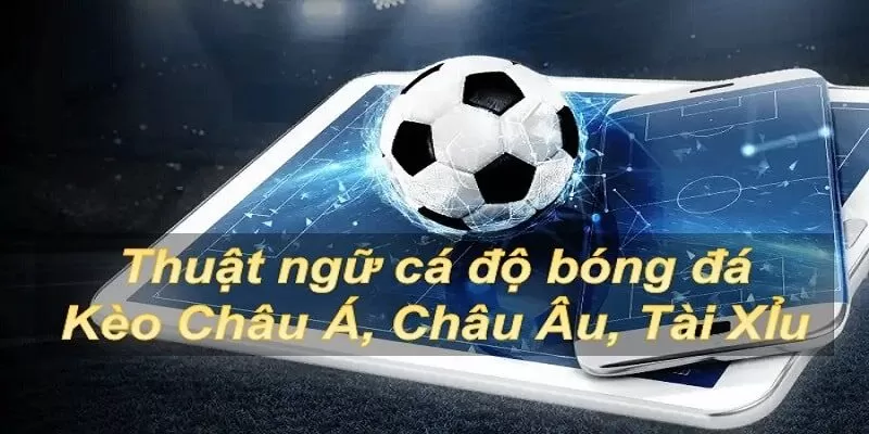 Thuật ngữ cá độ bóng đá ngày càng đa dạng trên thị trường Thuật ngữ cá độ bóng đá ngày càng đa dạng trên thị trường