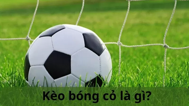 Tại sao nên tham gia chơi cá cược kèo bóng cỏ Tại sao nên tham gia chơi cá cược kèo bóng cỏ