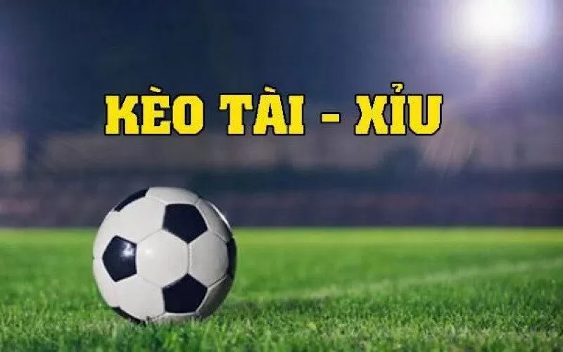 Tìm hiểu kèo tài xỉu 0.5 Tìm hiểu kèo tài xỉu 0.5