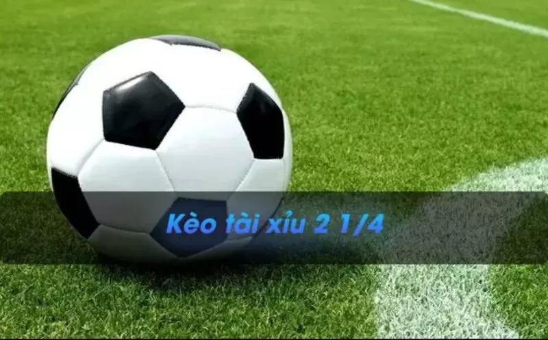 Lựa chọn trận đấu phù hợp và tìm ra tỷ lệ cược tốt nhất Lựa chọn trận đấu phù hợp và tìm ra tỷ lệ cược tốt nhất