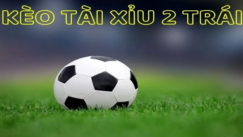 Định nghĩa về hình thức chơi kèo tài xỉu 2 trái Định nghĩa về hình thức chơi kèo tài xỉu 2 trái